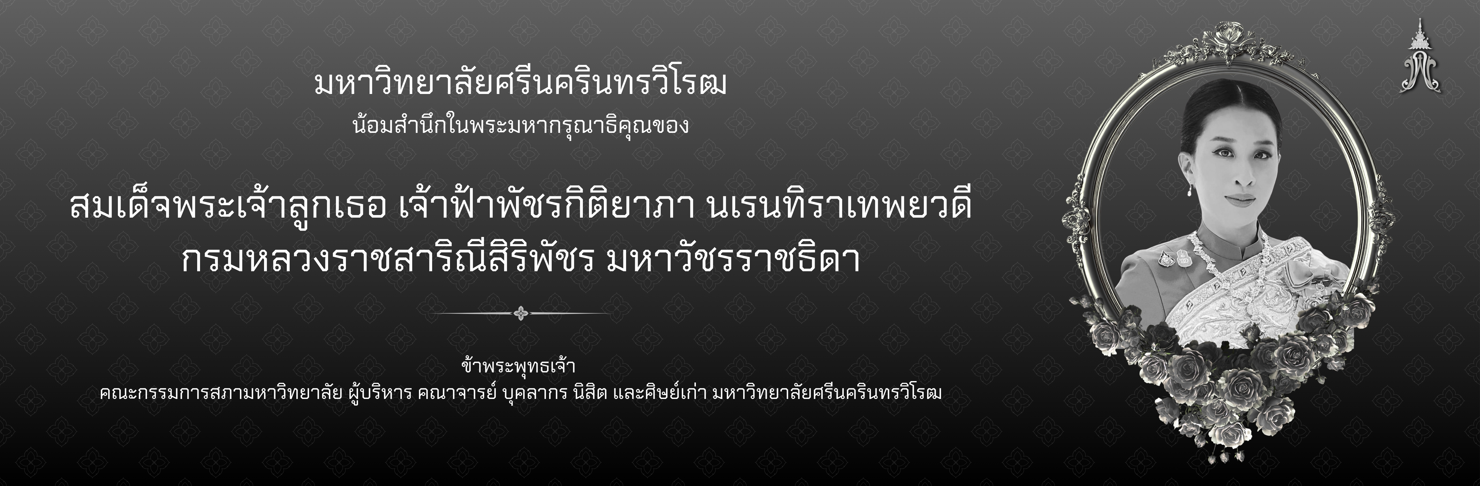 sixth slide